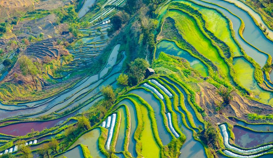 宝妈必备神器：黄梅县产品视频拍摄轻松育儿好帮手