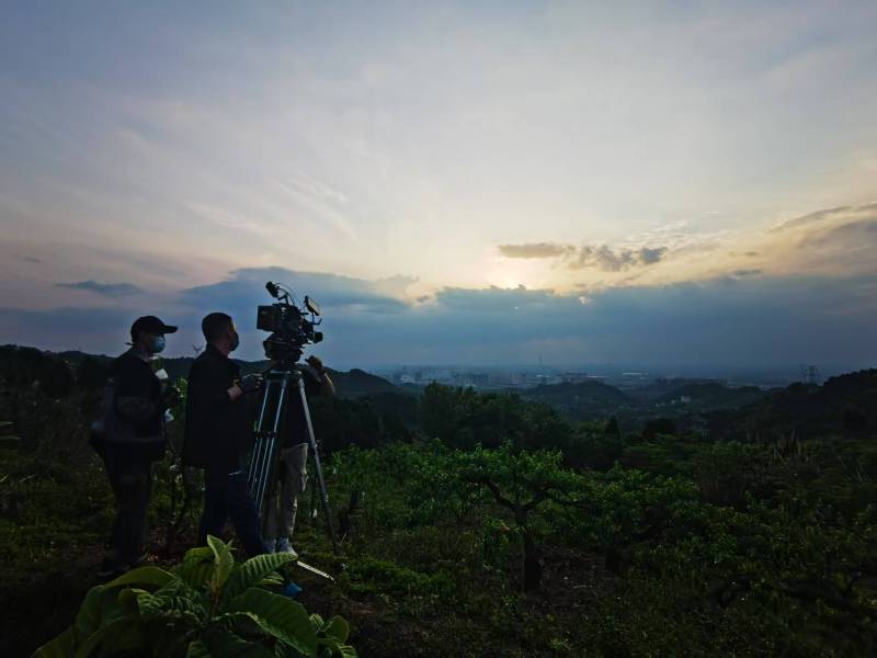 聚焦黄梅县产品宣传视频拍摄公司，用专业实力铸就品牌传播传奇