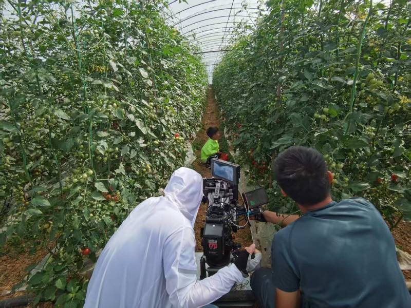 黄梅县产品宣传视频拍摄公司进阶指南，助力品牌抢占传播高地